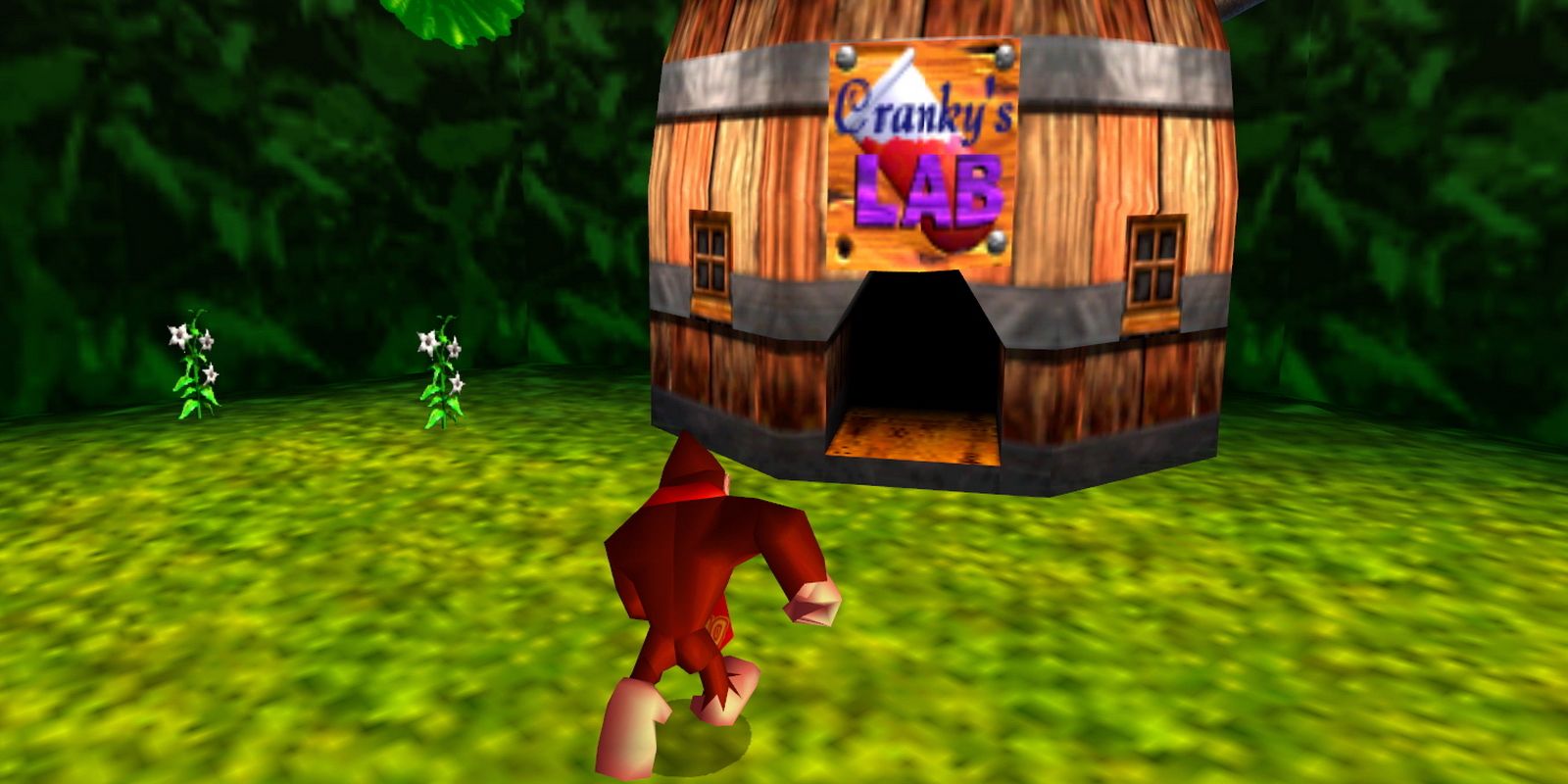 Donkey Kong goes into Cranky's Lab in the controversial Donkey Kong 64.