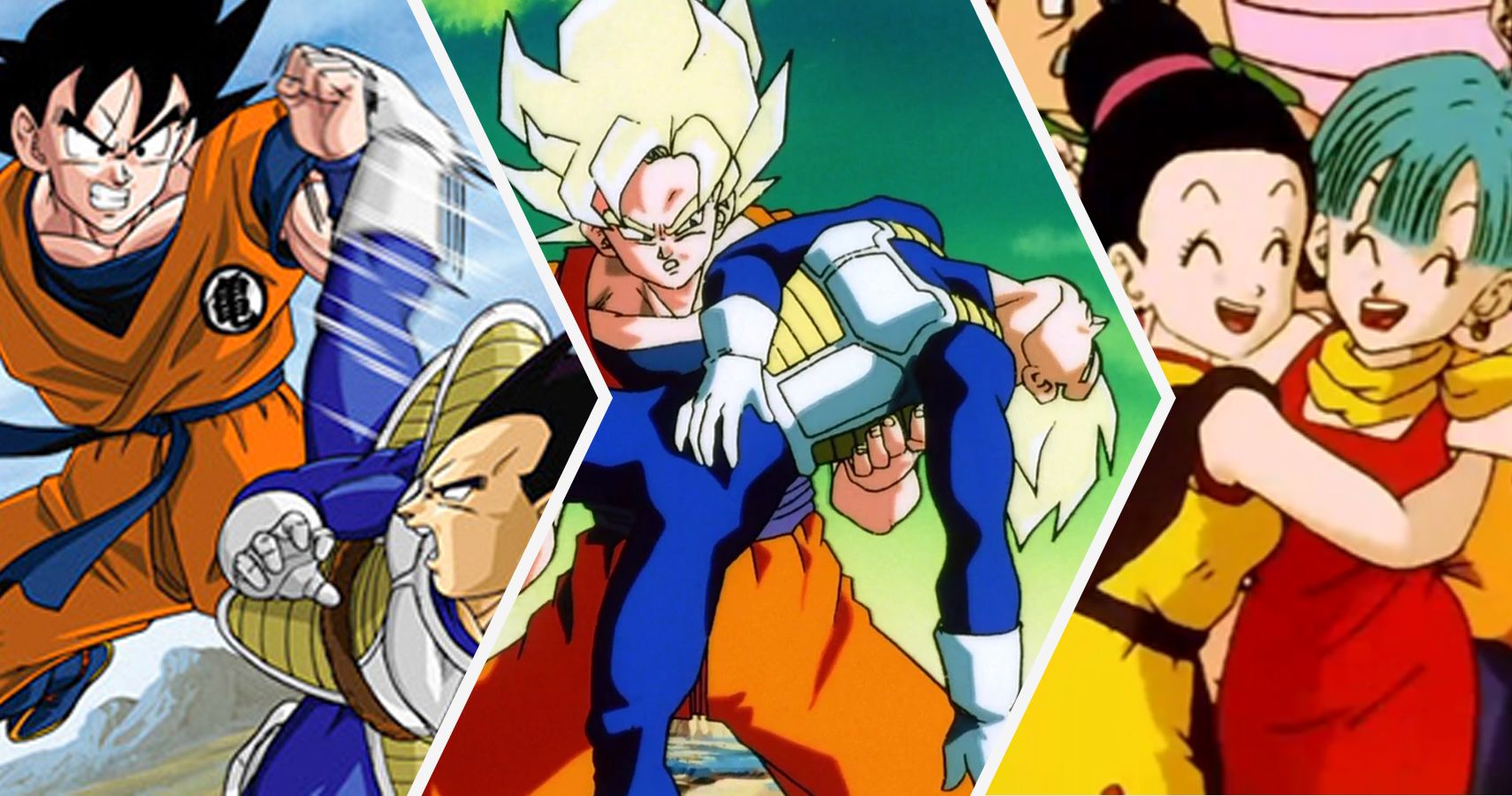 IS IT JUST A RIVALRY OR ARE GOKU AND VEGETA FRIENDS? 