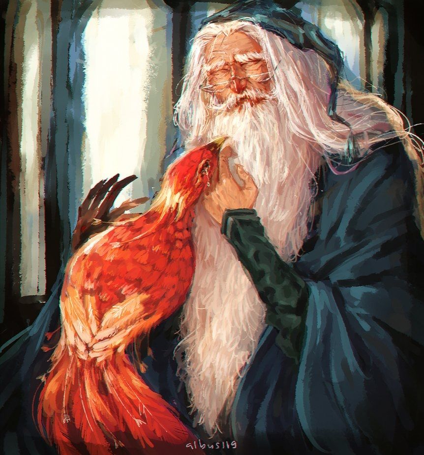 Harry Potter Redesigns Dumbledore