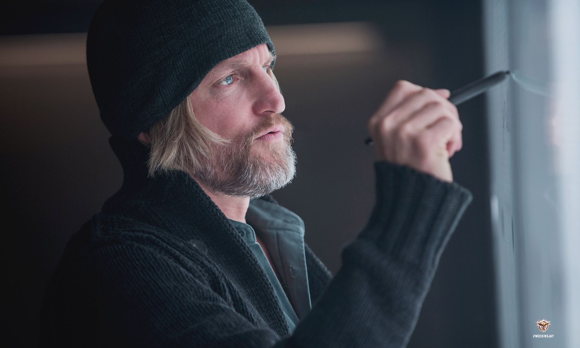 Hunger Games Casting Woody Harrelson