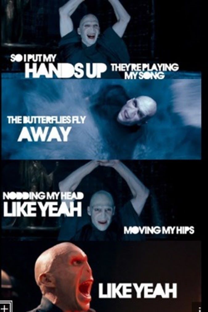 Voldemort Party in the USA Harry Potter Meme
