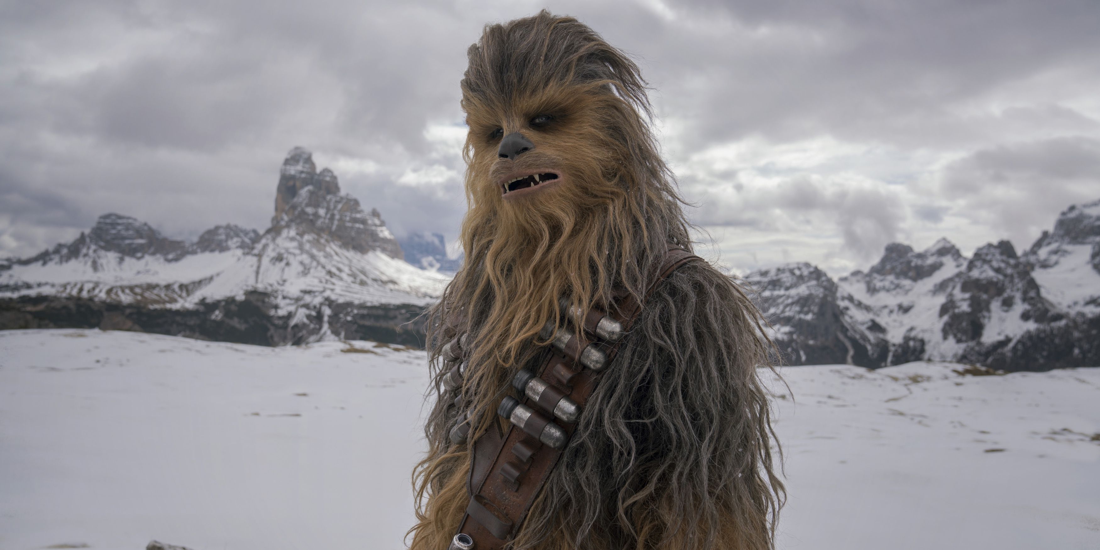 Star Wars 10 Things You Didn’t Know About Chewbacca