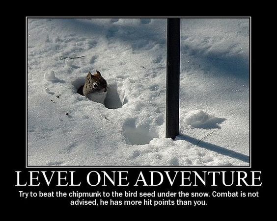 Level One adventure D&amp;D demotivational meme