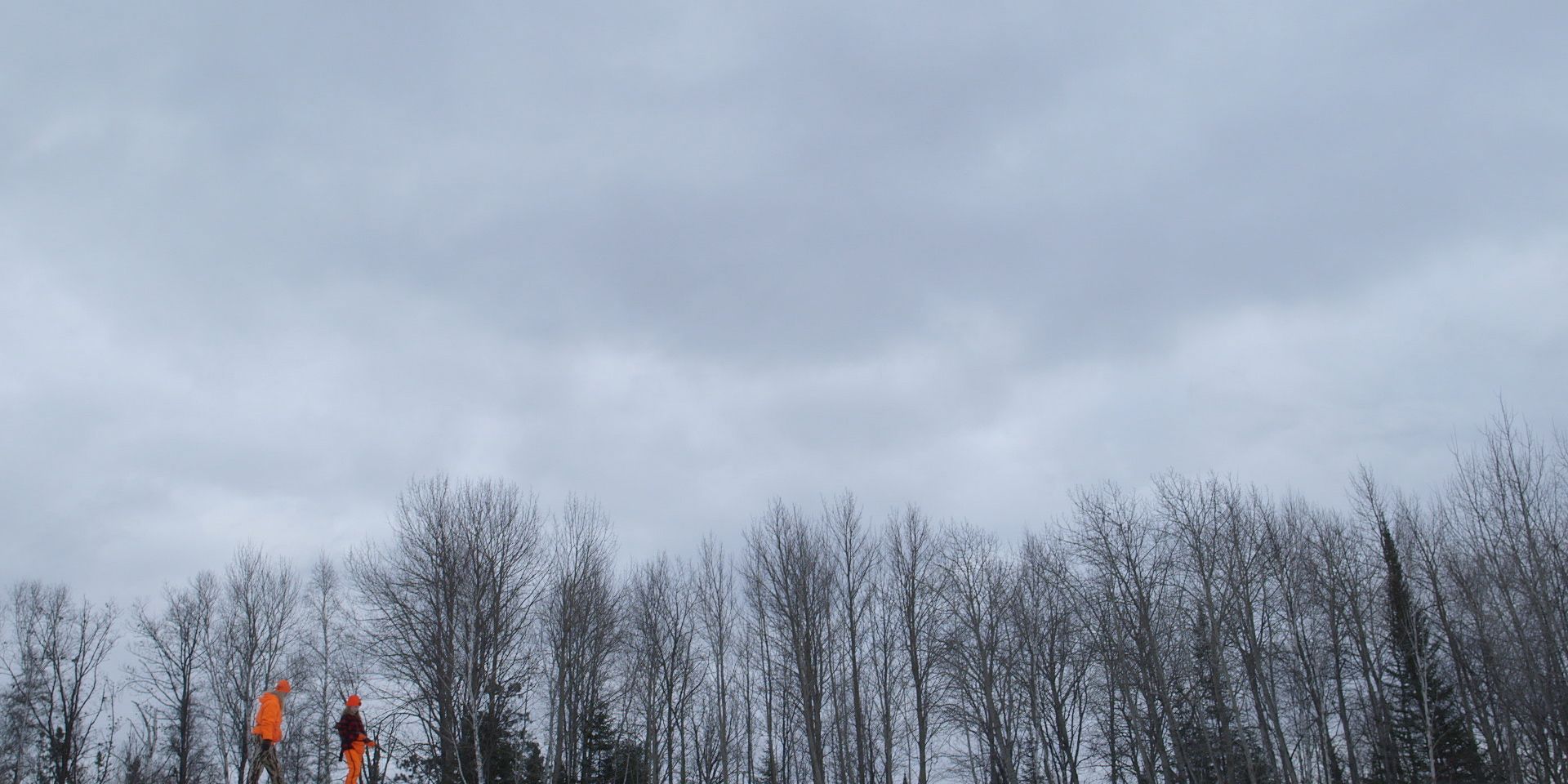Minnesota in Cold November