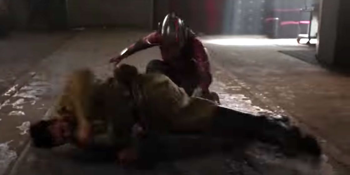 Original Wasp in Ant-Man and the Wasp