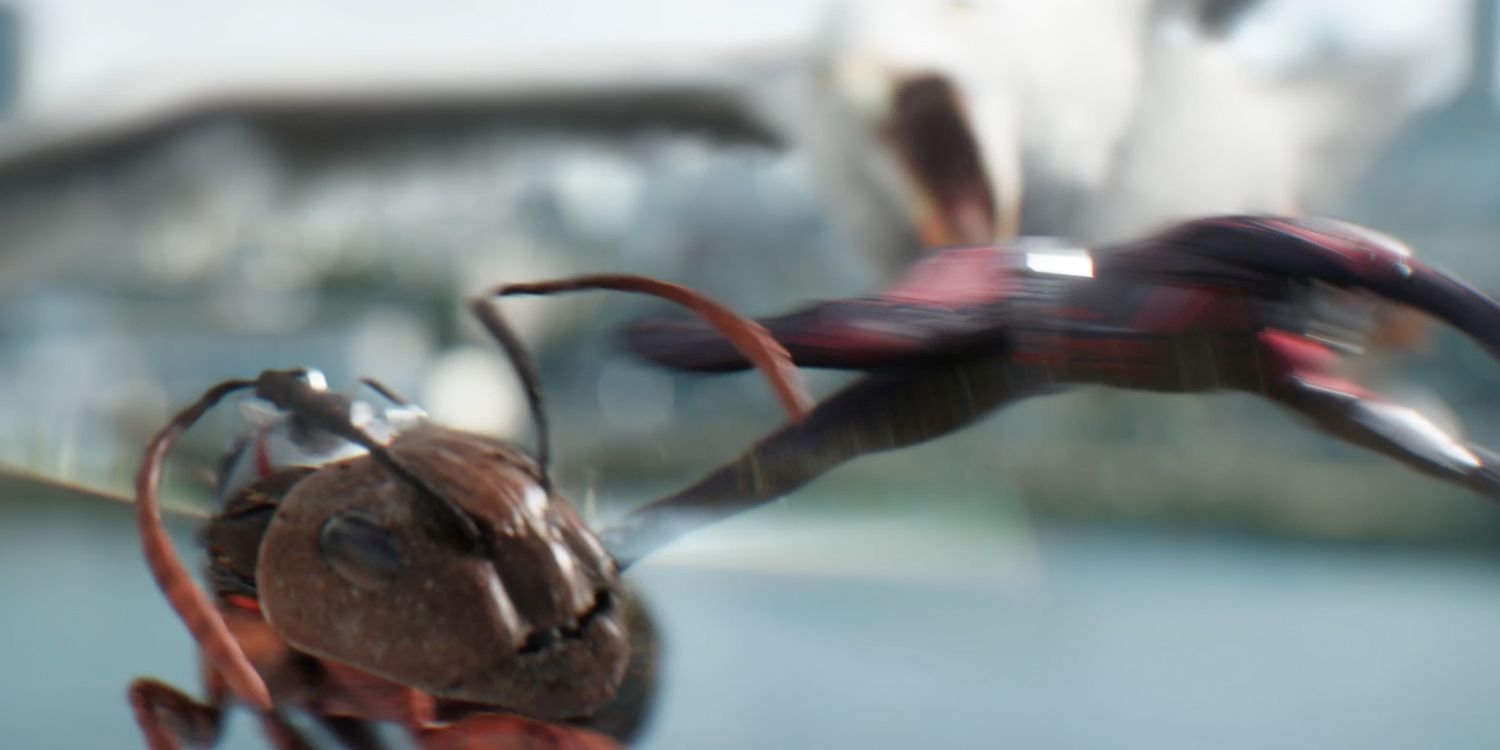 Scott Attacked by a Seagull in Ant-Man and the Wasp
