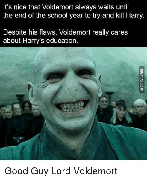 Voldemort Good Guy Harry Potter Meme