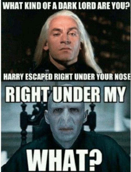 Voldemort and Lucius Malfoy nose diss Harry Potter meme