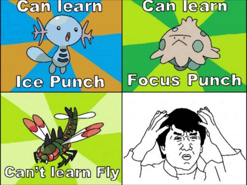 Why no fly Pokemon meme