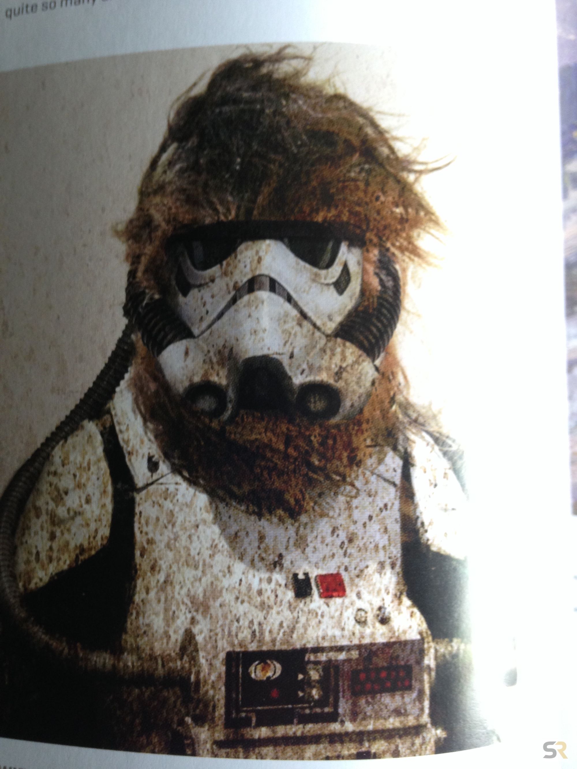 Wookiee Stormtrooper