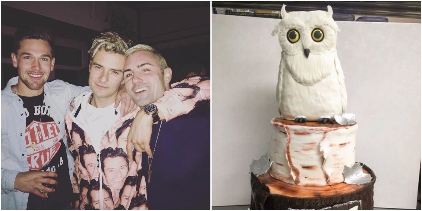 Orlando Bloom and friends at his 40th birthday party, owl cake