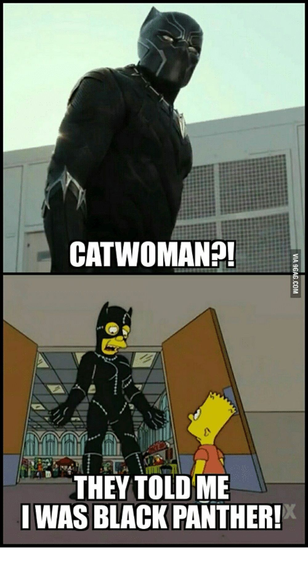 Black Panther Meets Catwoman Meme