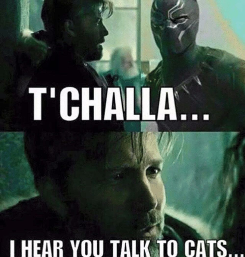/wordpress/wp-content/uploads/2018/06/Black-Panther-The-Cat-Whisperer-e1529358927902.jpg