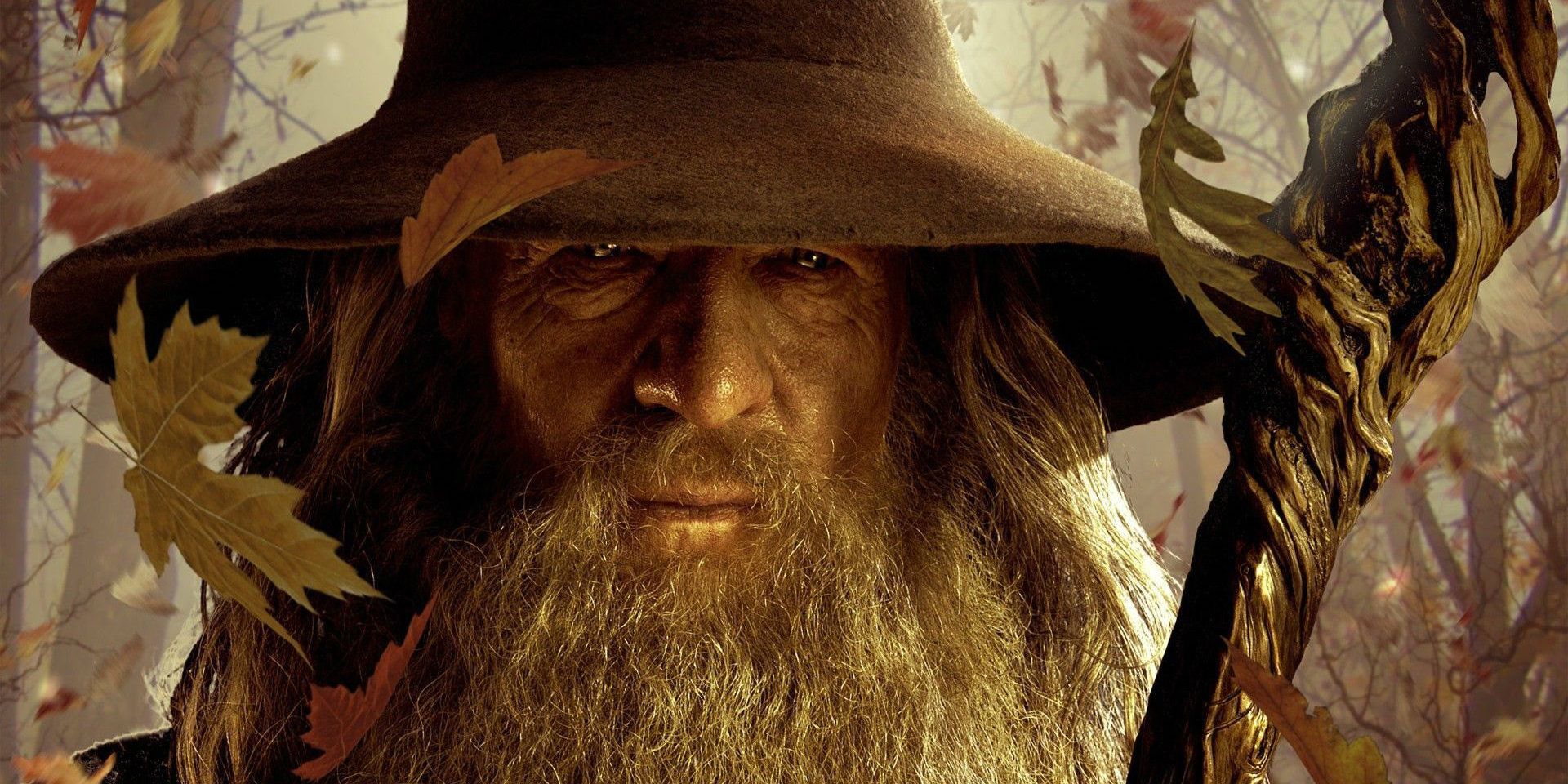 The Lord Of The Rings 10 Facts About Gandalf They Leave Out In The Movies