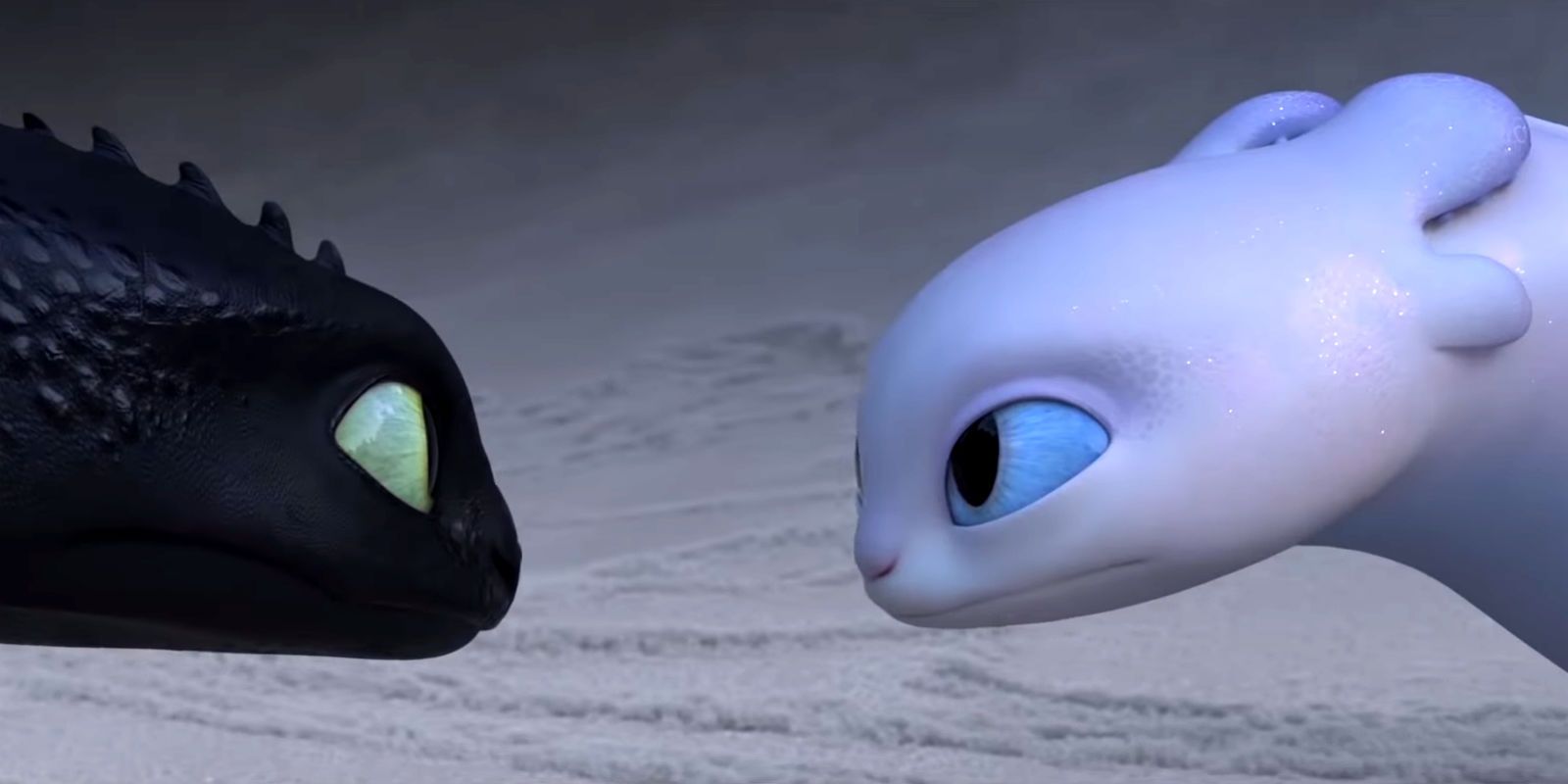 How to Train Your Dragon 3 - Toothless and Light Fury