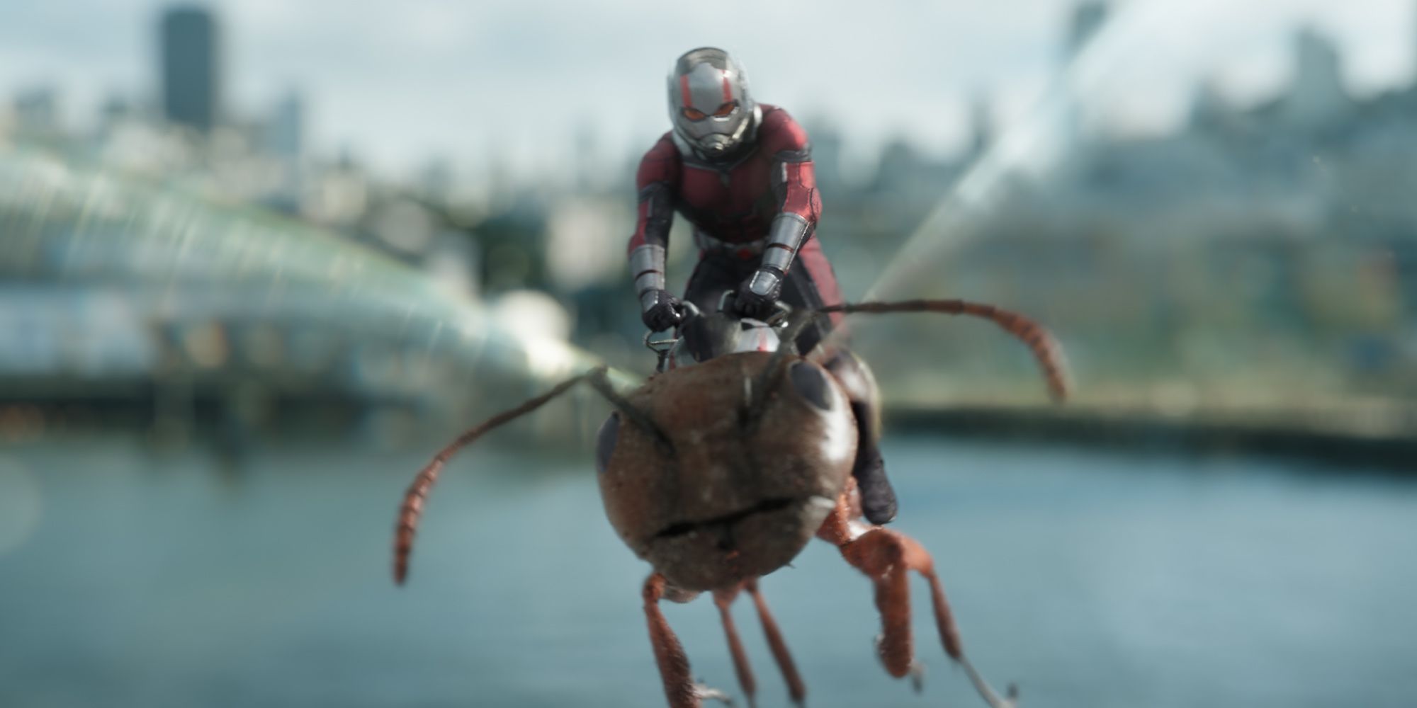 Scott Lang riding an ant in Ant-Man and the Wasp