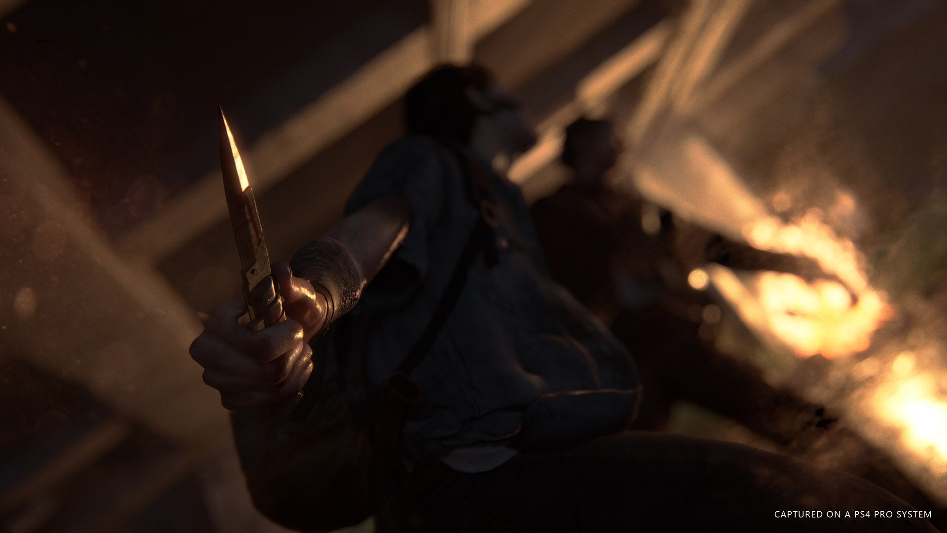 The Last of Us 2 PS4 Pro Screenshot 8