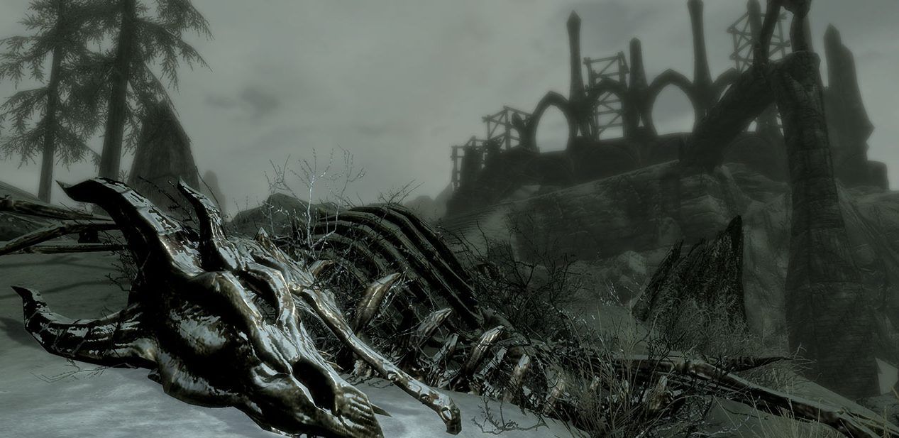 Dragon Skeleton Skyrim