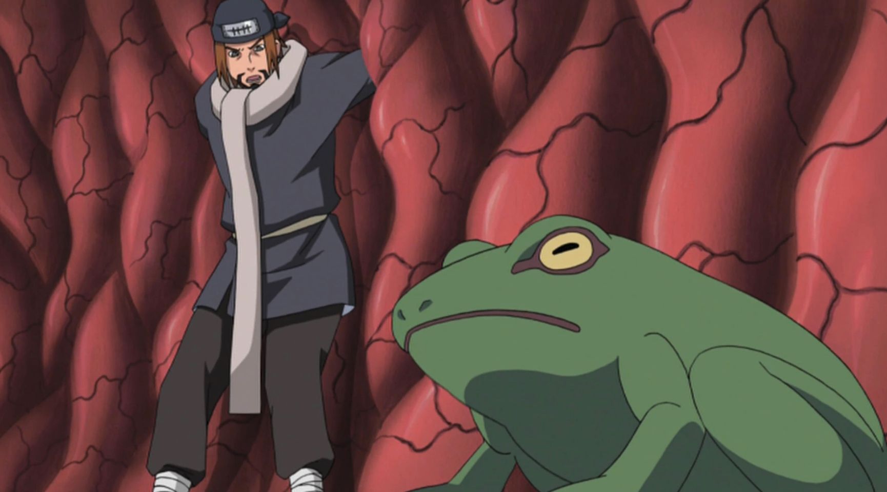 Jiraiya Turned An Enemy Into A Toad In Naruto Shippuden