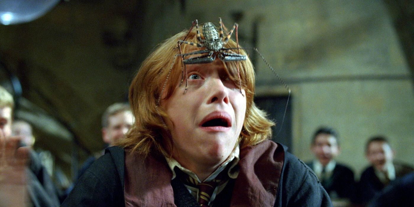 Ron Weasley harry potter