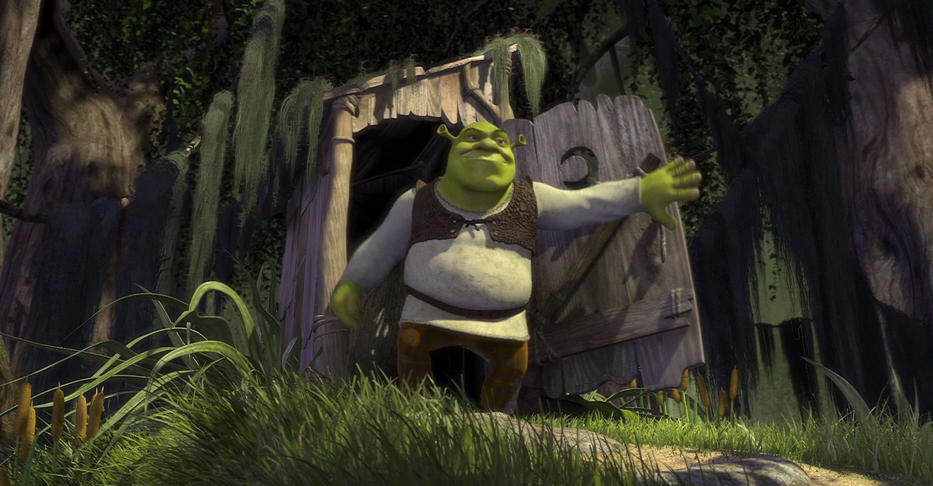 Shrek in his swamp