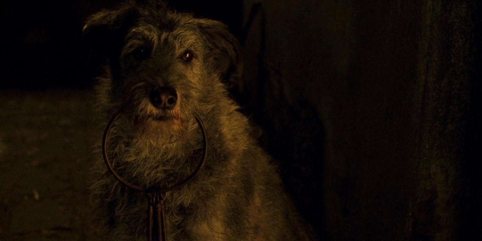 The dog holding the keys in The Pirates of the Caribbean
