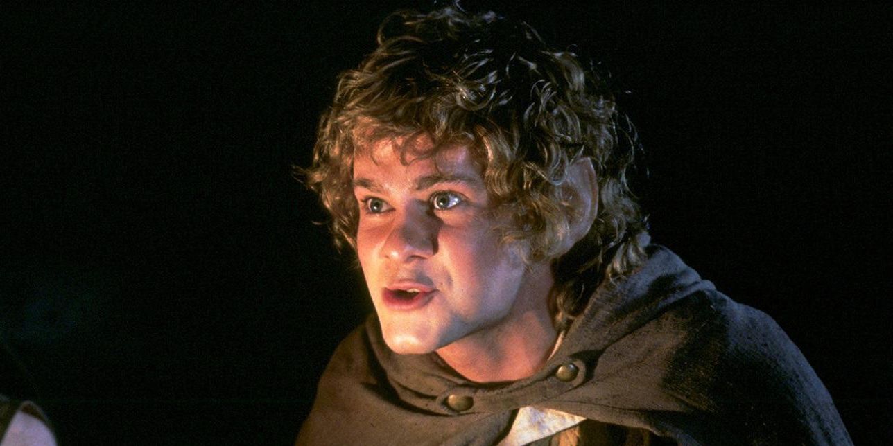 Dominic Monaghan in The Lord of the Rings