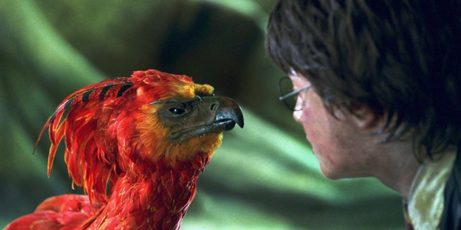 Harry Potter and Phoenix from Harry Potter and the Chamber of Secrets
