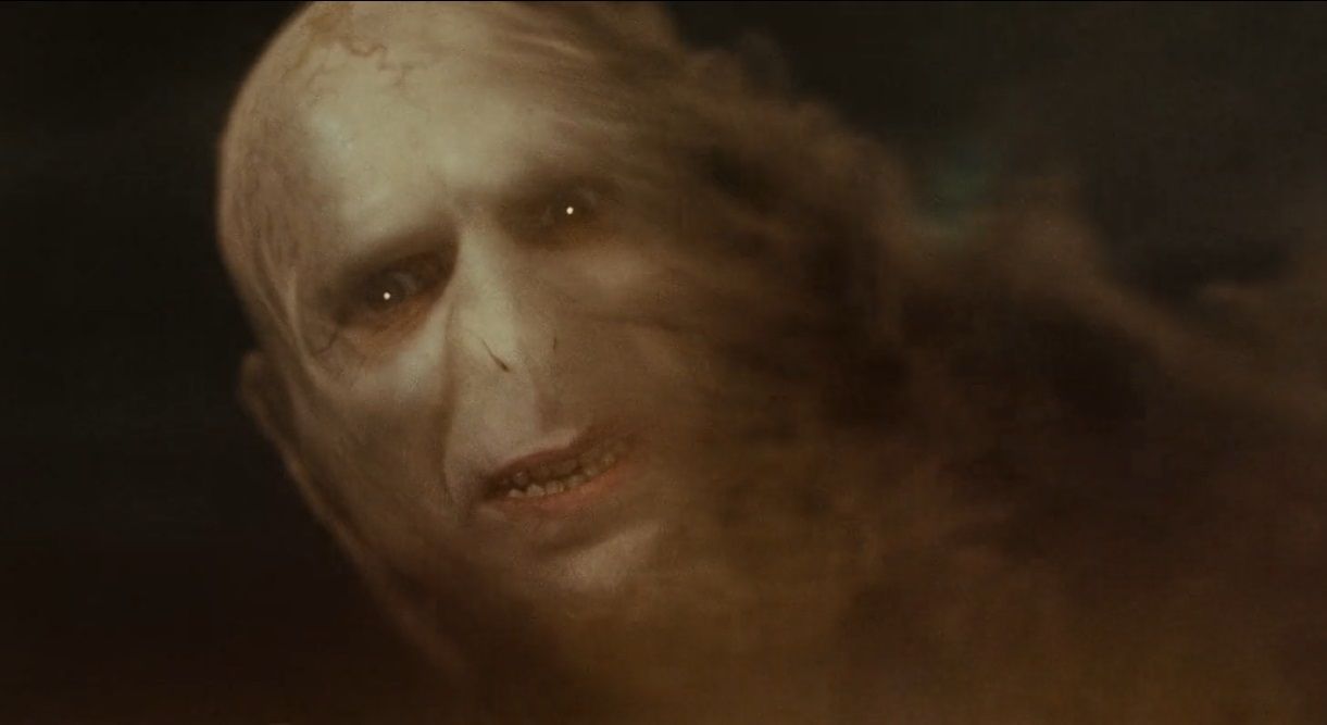 So Did Voldemort, Apparently, Harry Potter