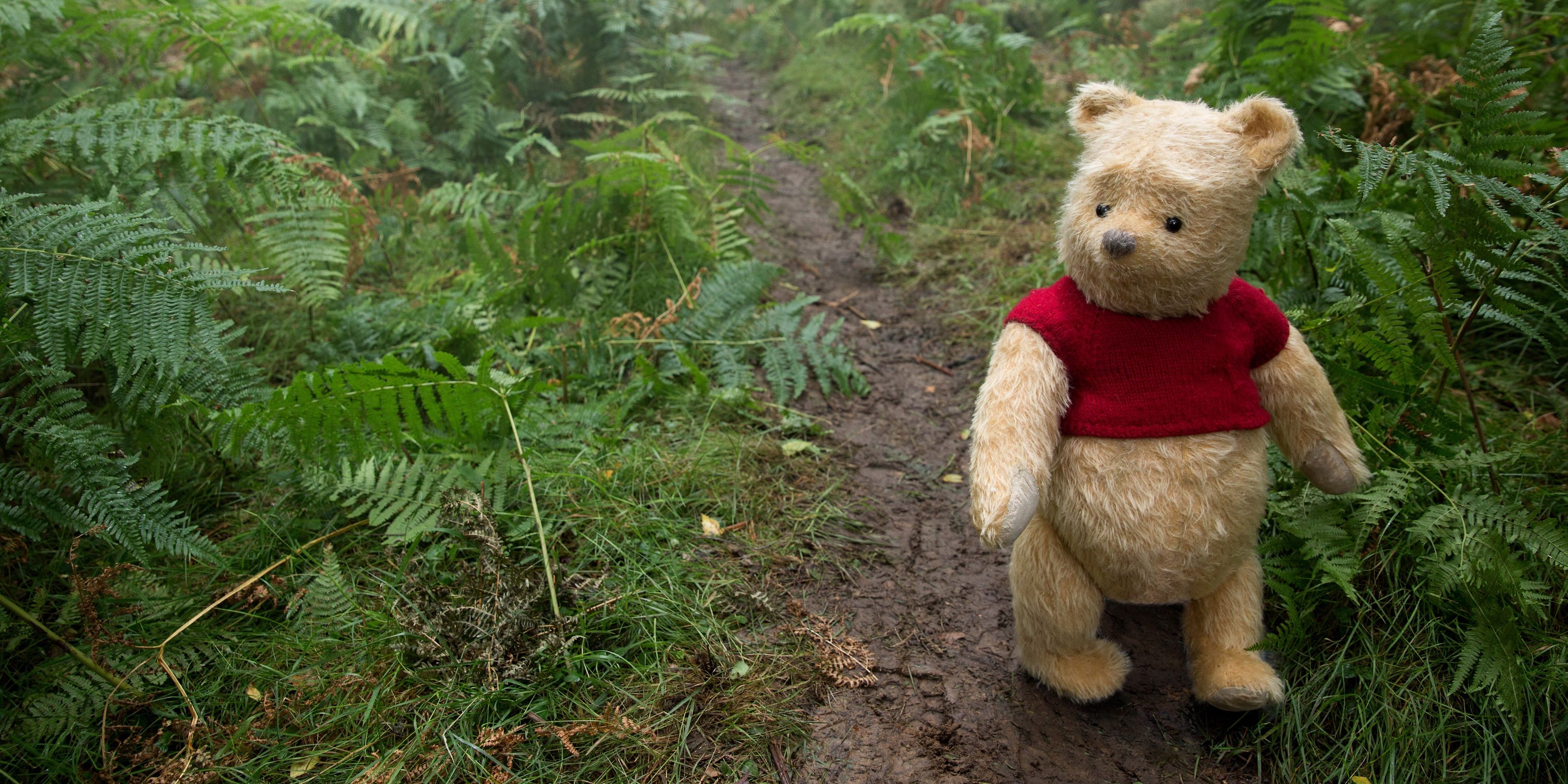Real-Life Inspiration for Winnie the Pooh’s Forest Catches Fire
