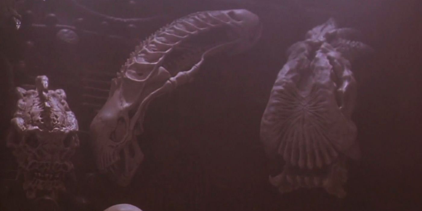 Alien Skull in Predator 2