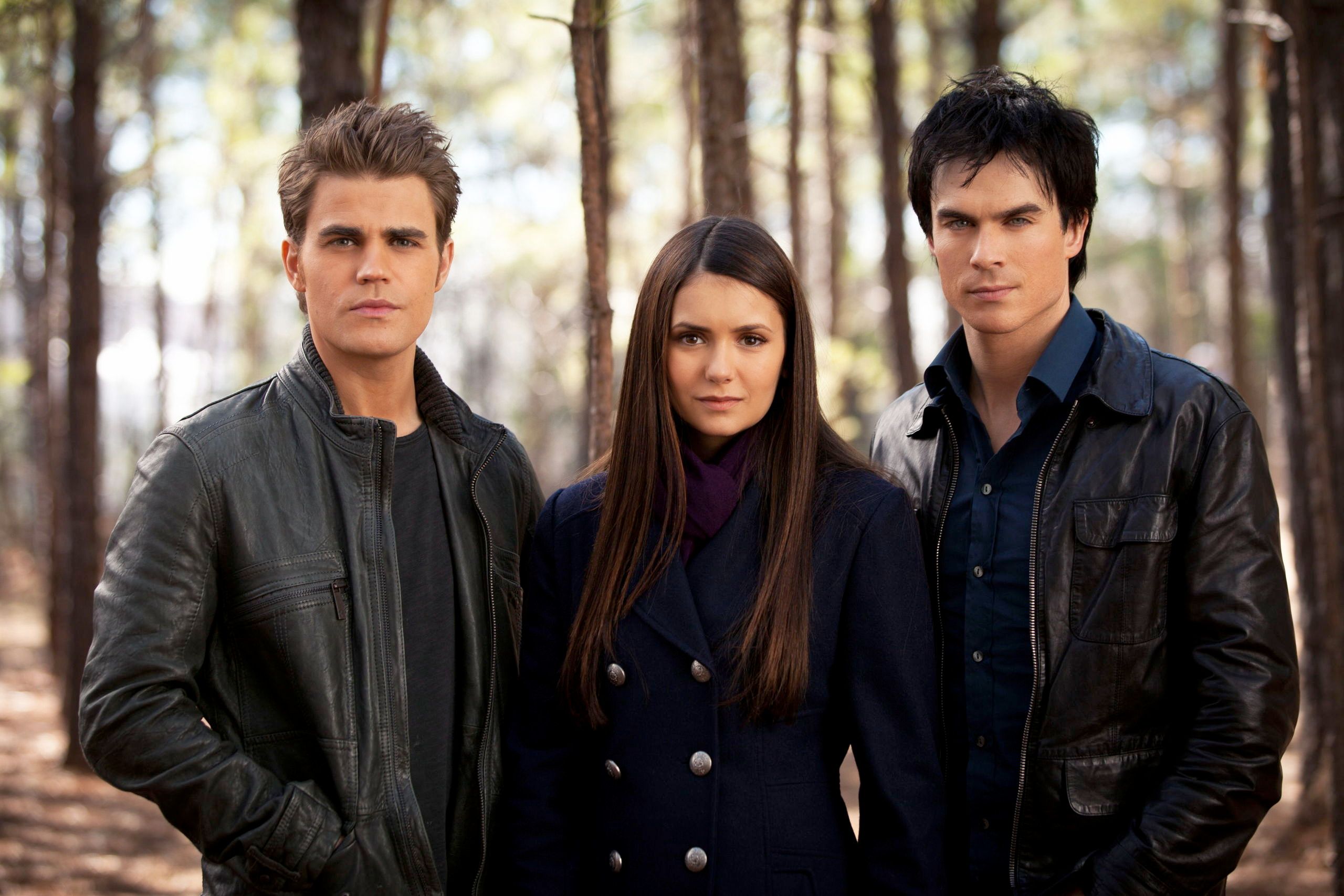 Damon Stefan and Elena in The Vampire Diaries