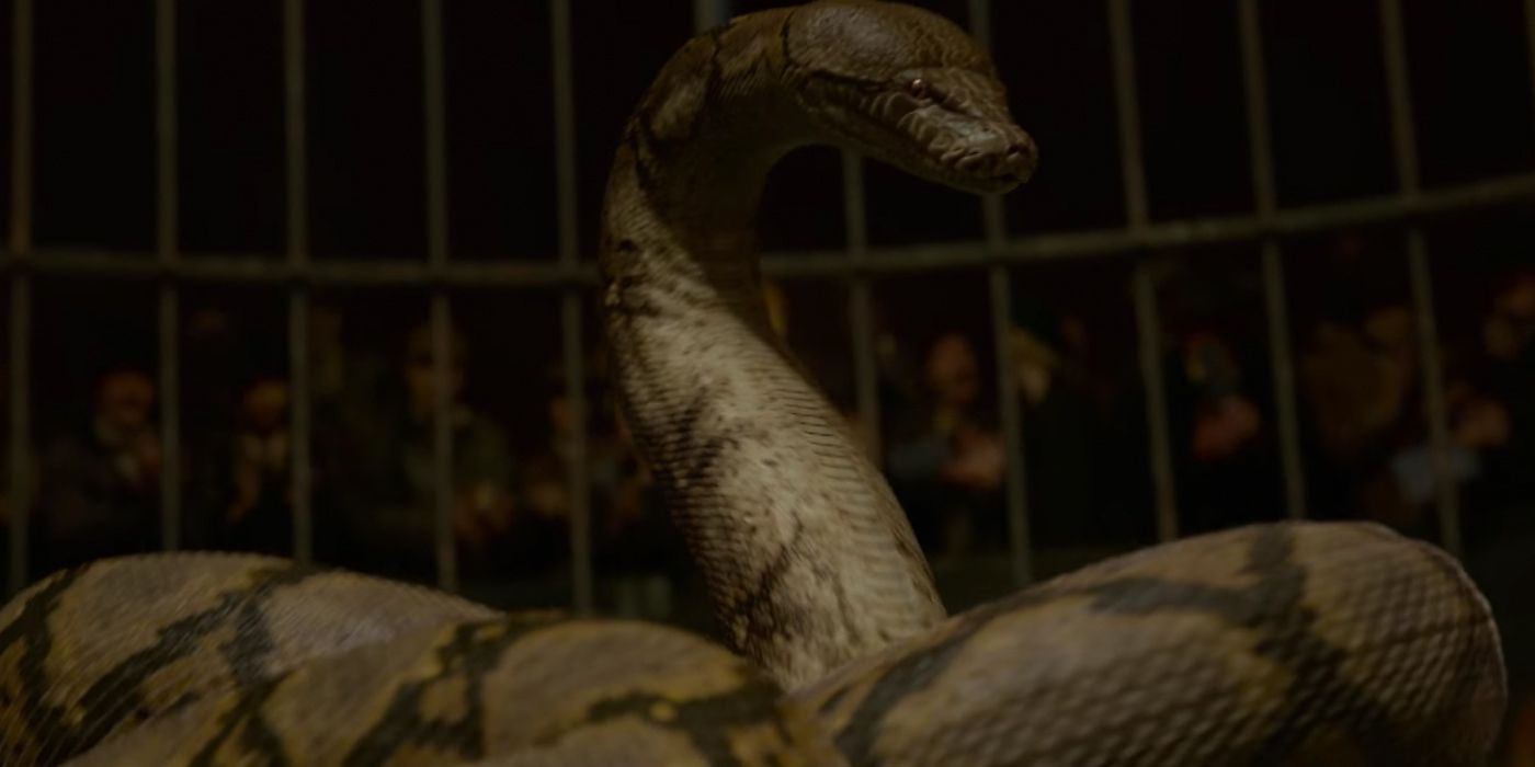 10 Facts About Nagini That Most Fans Dont Know