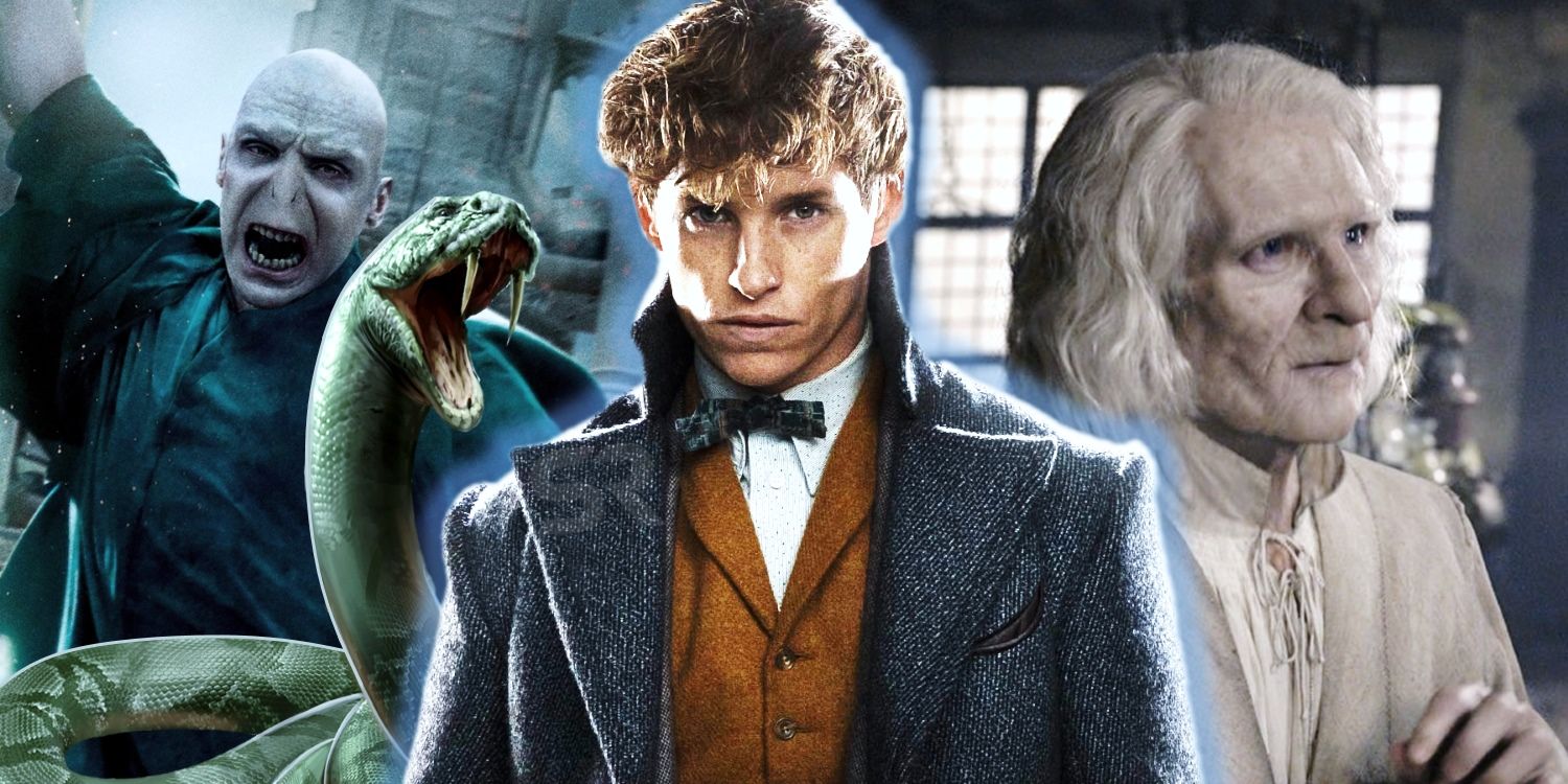Fantastic Beasts Harry Potter Connections