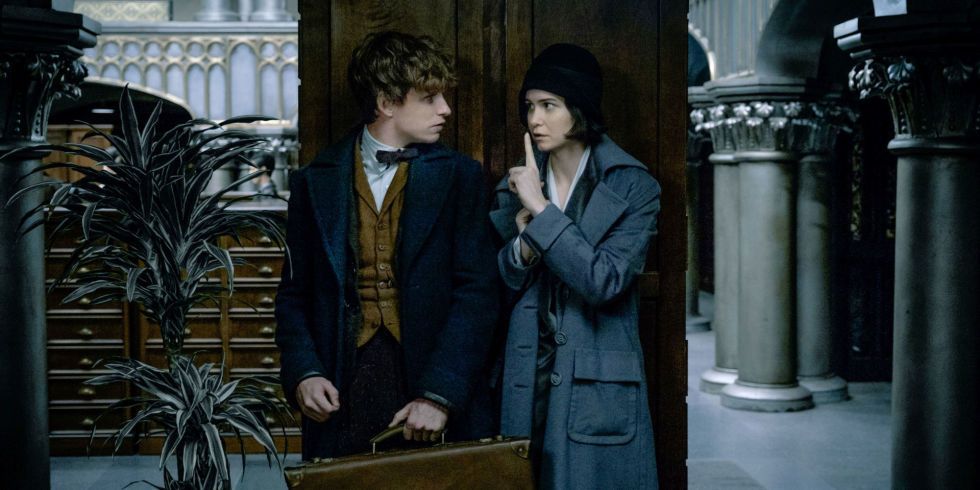 Harry Potter Couples Newt and Tina