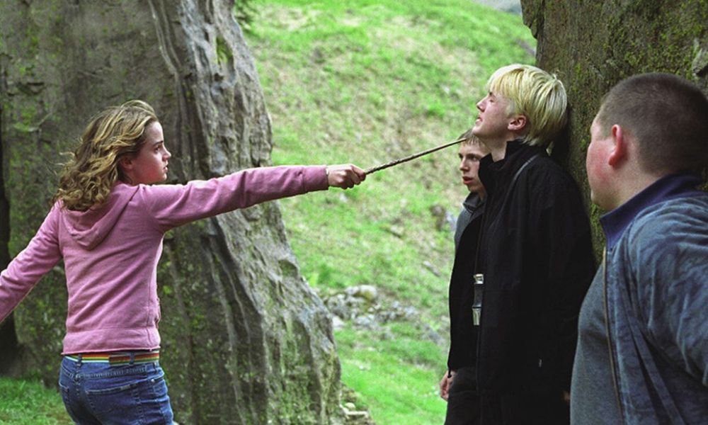 Hermione Wrong Draco Punch