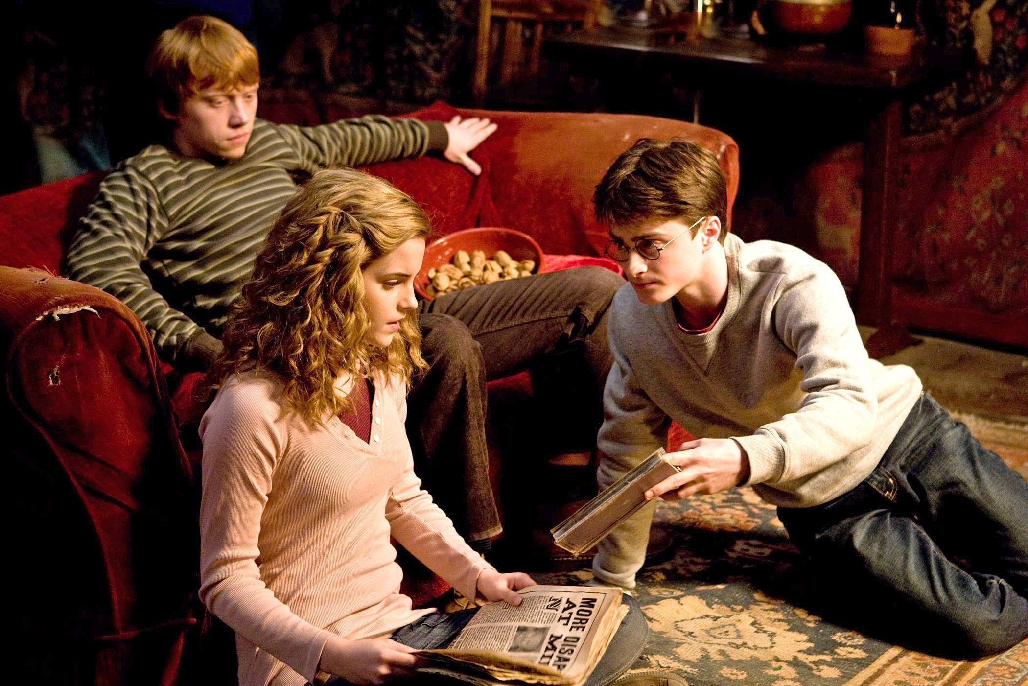 Hermione Wrong Muggle Born