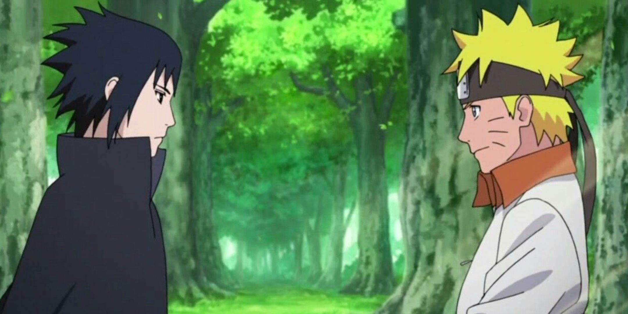 Sasuke and Naruto talk in the woods in Naruto Shippuden