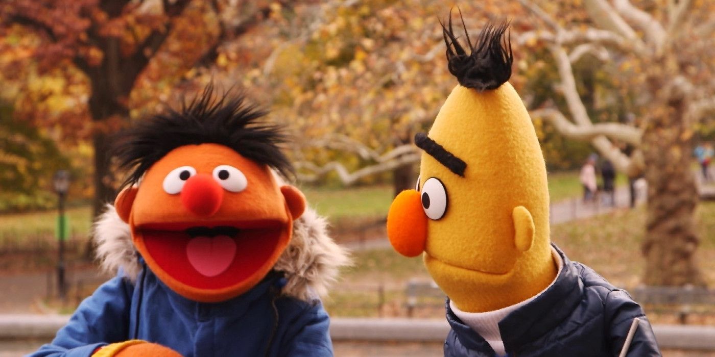 Bert and Ernie in Sesame Street.