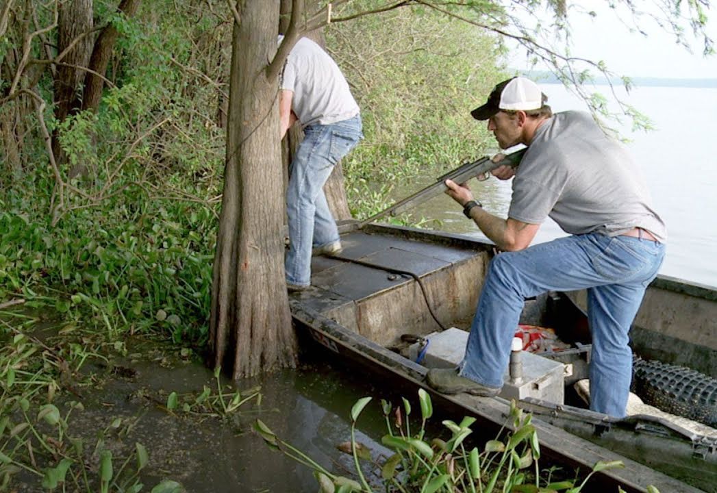 Swamp People Chase Hunts