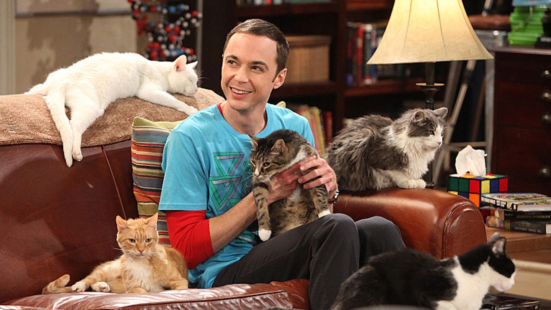 The Big Bang Theory Sheldon Cats