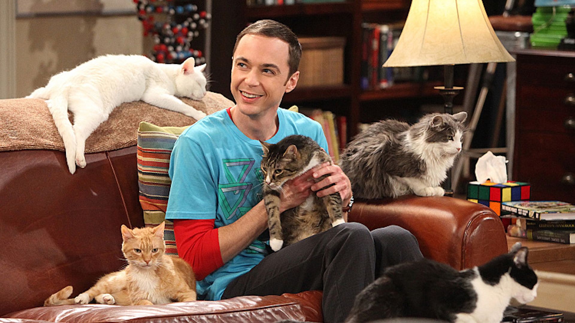 The Big Bang Theory The 10 Best Sheldon Cooper Quotes