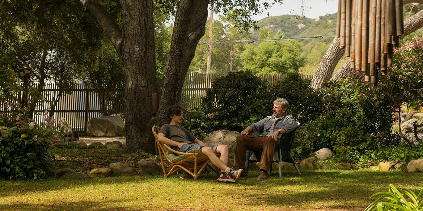 Is Beautiful Boy Based On A True Story?: The Real-Life Inspiration Explained