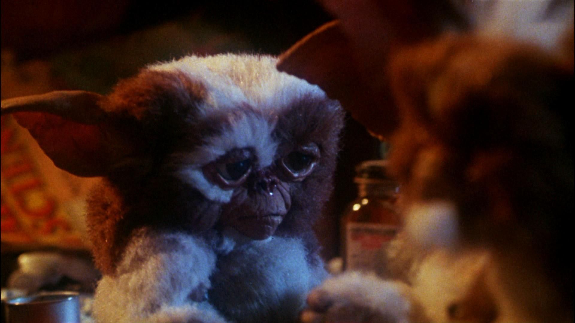 Gremlins Sad Mogwai