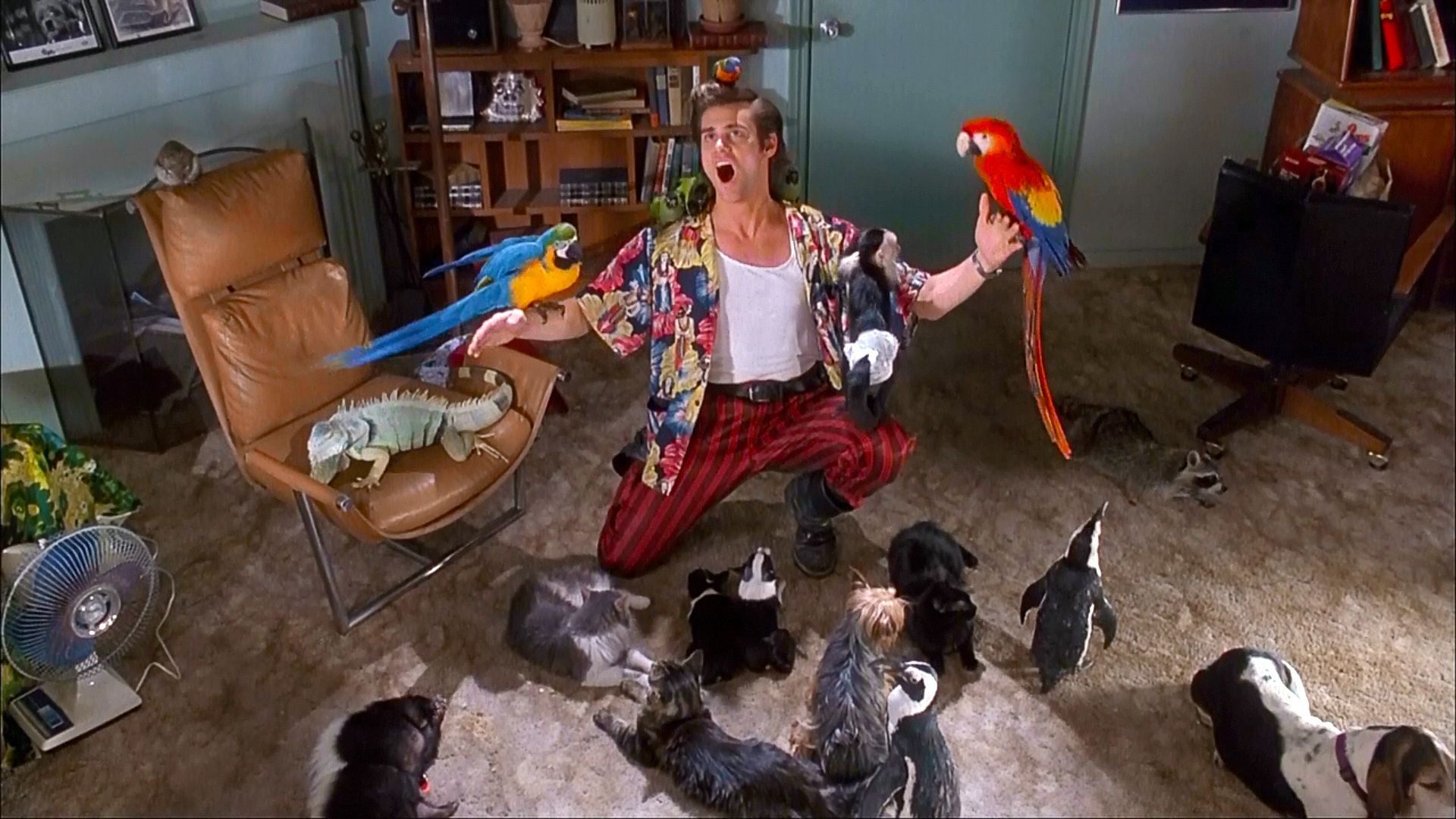 Ace Ventura Birds