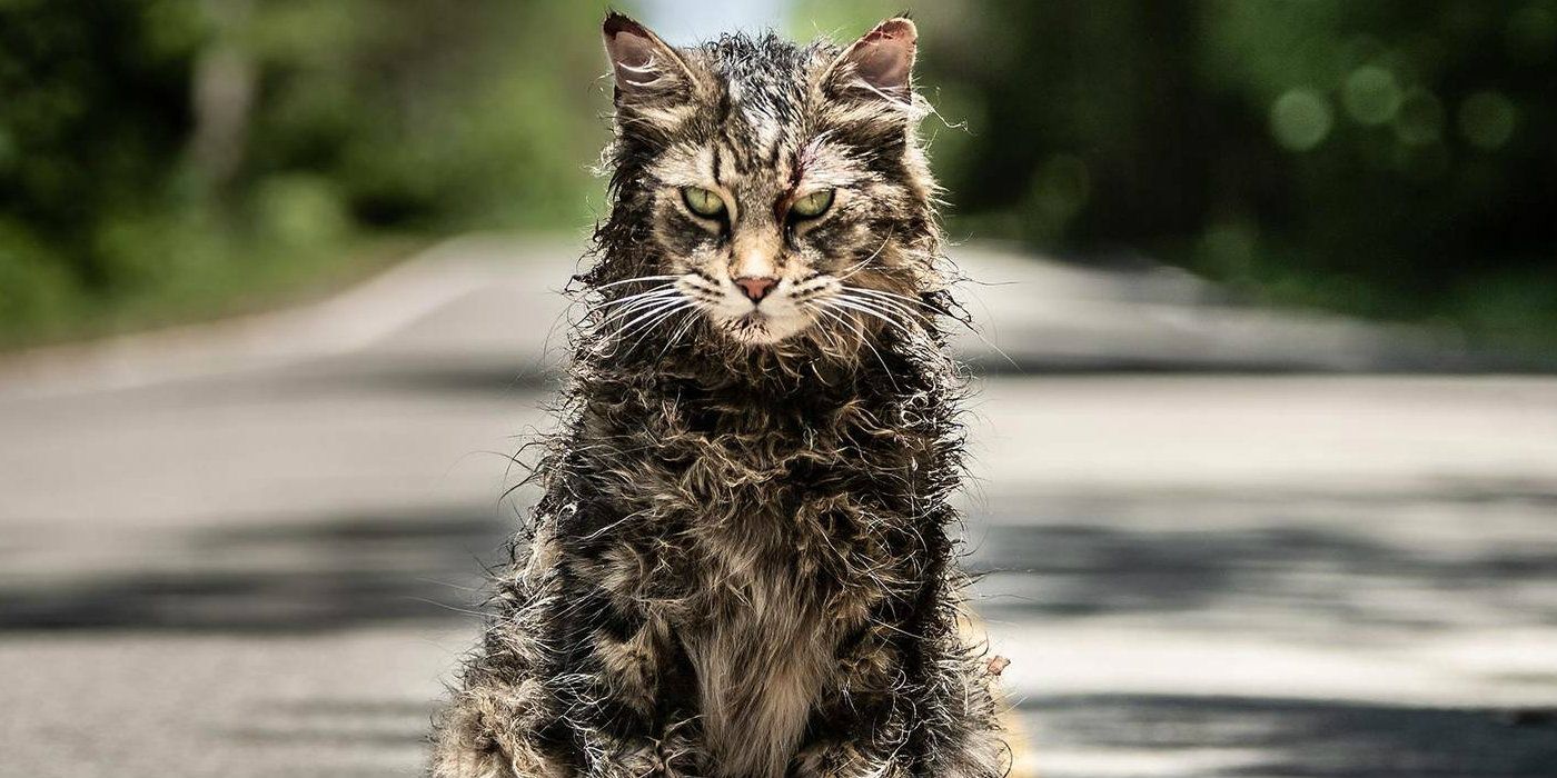 Church in Pet Sematary