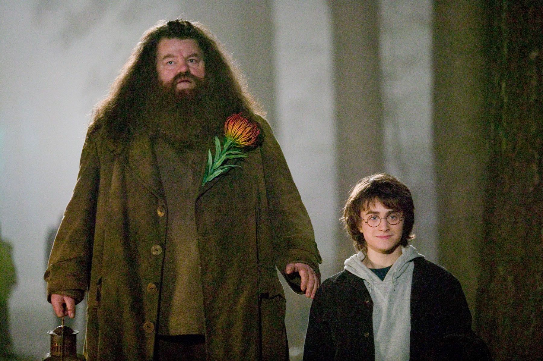 Harry Potter 20 Strange Details About Hagrid’s Anatomy