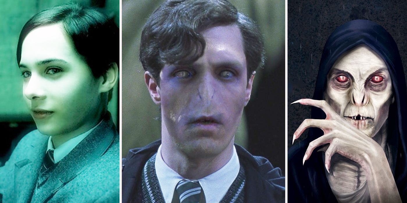 So Did Voldemort, Apparently, Harry Potter