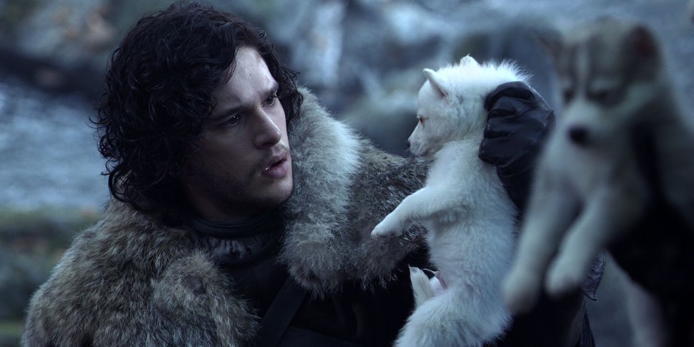 Jon Snow tenant un bébé Ghost