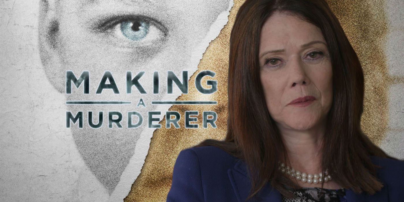 The IQ Defense on Making a Murderer